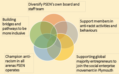 Why is PSEN launching an Anti-Racism Plan?